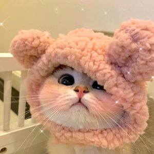 Meet your Posher, Shan